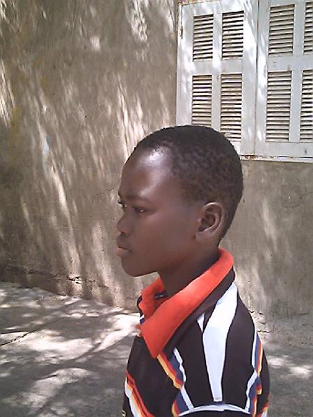 le lion dabakh